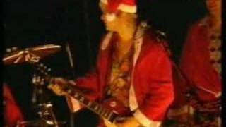 die toten hosen weihnachtsmann vom dach [upl. by Merdith]