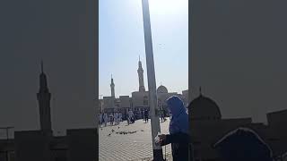 Uhud Mountain viralvideo ytshorts travel youtubeshorts shortvideo short subscribe [upl. by Eseilenna521]