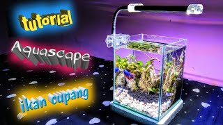 cara menghias aquarium sederhana untuk ikan cupang [upl. by Natsuj]