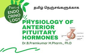 Anterior Pituitary Hormones  EndocrinologyPart4Tamil [upl. by Christabel]