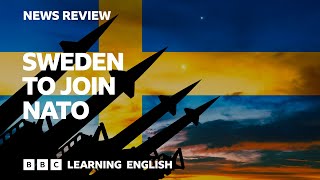 Sweden to join Nato BBC News Review [upl. by Talia]