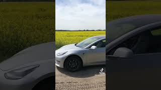 Tesla Model 3 Long Range [upl. by Almeta]