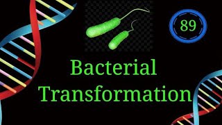 Bacterial Transformation amp Horizontal Gene Transfer EnteMicrobialWorldmicrobiology bacteria yt [upl. by Crespi]