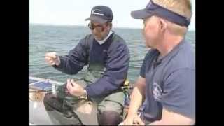 Fishing Spring Blackfish Tautog with Clams [upl. by Valera]