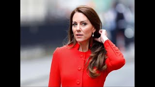 Royal expert blasts wicked comments about Princess Kate Online is such a cesspit [upl. by Elesig]