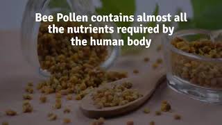 Bee Pollen  Natures Perfect Food [upl. by Trinl]