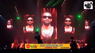 FALLY IPUPA Concert UArena Paris [upl. by Greenwell]