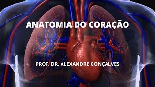 Anatomia do Coração [upl. by My]