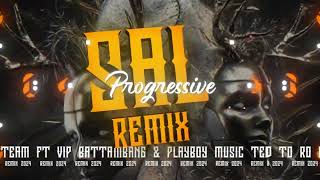 SalRemixProgressive10in1VIPHBDtoRoBirddftVanTheMusic [upl. by Atikal916]