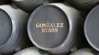 Cellar Tour Bodegas Gonzalez Byass Jerez Spain [upl. by Montague]