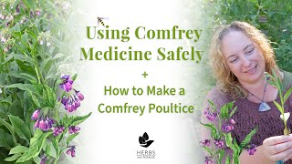 Comfrey Plant Benefits  Using Roots and Leaf Safely  Comfrey Poultice [upl. by Ramirolg]