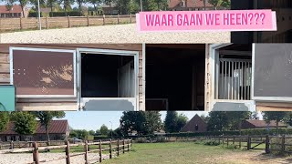 WIJ GAAN VERHUIZEN  Haflingers King amp Beau [upl. by Krum]