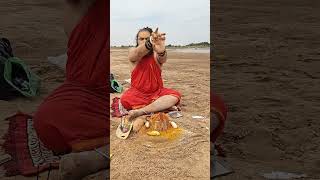 aghor godavari aghori guru Raja Swami ji Pooja mahakaal 🚩 [upl. by Nyrrat]