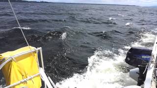 Catalac 8m Lake Champlain 20 knot plus wind [upl. by Percival942]