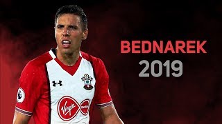 Jan Bednarek 2019  Defensive Skills in Southampton  HD [upl. by Rena]