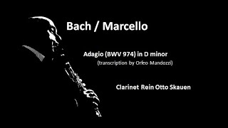 Bach  Marcello Adagio BWV 974 in D minor [upl. by Lesser666]