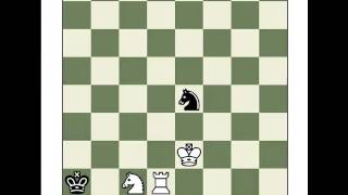 The hardest known Helpmate in 3 Chess Puzzle Answer in Notes [upl. by Durrace551]