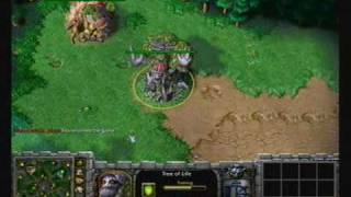 2009 WCG Grand Final Third day WarCraft III match Moon vs SoKoL [upl. by Assenab]