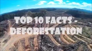 10 Deforestation Facts [upl. by Aubree826]