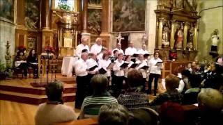 CAMPANITAS DE NAVIDAD  Coro de Espronceda Navarra  2015 [upl. by Yspyg]