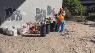 San Diego completes major cleanup of encampments under I5 [upl. by Analos210]