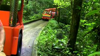 Puerto Rico Cuevas de Camuy  Camuy River Cave Park [upl. by Dammahom976]