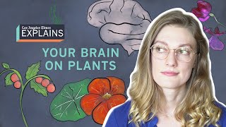 Your brain on plants why gardens are good for you [upl. by Charin]