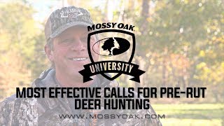 PreRut Deer Calling Tactics  What Calls Work The Best [upl. by Audi]