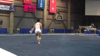 Tyler Mizoguchi  Floor Exercise  2010 Winter Cup  Day 1 [upl. by Nivrae900]