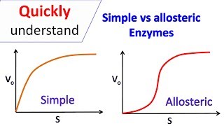 Simple enzymes vs Allosteric enzymes [upl. by Norre]