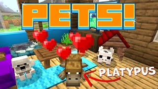 UNIQUE PETS Snakes Hamsters and Platypuses in Minecraft Bedrock Marketplace DLC [upl. by Lahcar]