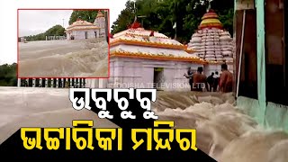 Watch Flood water enters Maa Bhattarika Temple in Cuttack [upl. by Ekle]