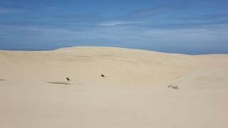 Formation of Sand Dunes Coastal Processes Part 5 of 6 [upl. by Okramed677]