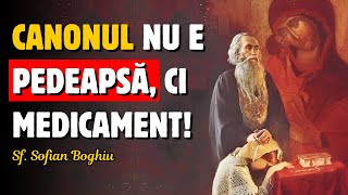 Canonul NU este pedeapsă ci medicament – Sf Sofian Boghiu [upl. by Belen]