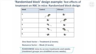 7 Randomised Block Designs [upl. by Eselehs]