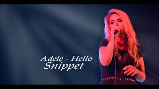 Adele  Hello Snippet [upl. by Arne719]