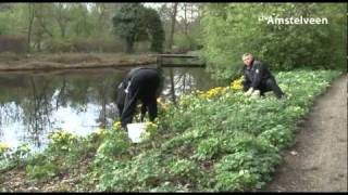 Amsterdamse Bos TV 11  RTV Amstelveen [upl. by Yerffej481]