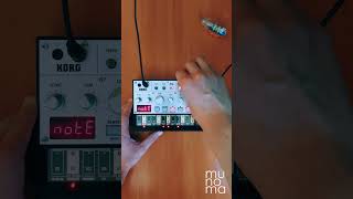 Donna Summer  I Feel Love  Volca Bass korg synthmusic [upl. by Piefer]