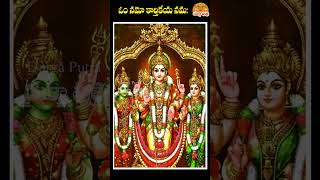 lordkarthikeya subramanianswamy chagantikoteswararao shorts youtubeshorts [upl. by Savill]