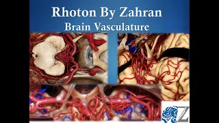 Rhoton By Zahran 11 Brain Vasculature [upl. by Vance]