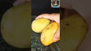 Mango Ice cream Recipe 🥭 🍦 verytesty aam food yummy foodie youtubeshorts shorts trending [upl. by Enimassej25]