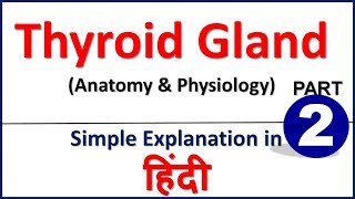 Thyroid Gland Anatomy amp Physiology in Hindi Part 2  Bhushan Science [upl. by Dubois]