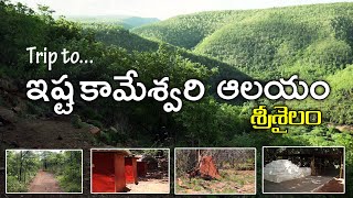 Trip to Srisailam forest ISHTA KAMESWARI TEMPLE [upl. by Andert]