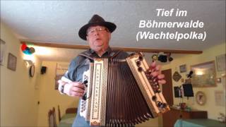 Tief im Böhmerwalde Wachtelpolka [upl. by Yeltihw]