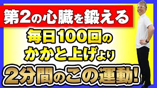 【たった2分】第2の心臓である「ふくらはぎ」を鍛える効果的なトレーニングを紹介！血液循環・夜間頻尿・冷え性改善 [upl. by Rimat]