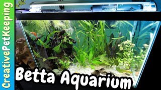 20 Gallon Betta Community Tank  Aquarium CoOp UNBOXING [upl. by Ahron120]