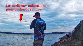 Pêche du sandre aux leurres souples du bord  Hiver 2019 [upl. by Elyrrad636]