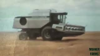 Gleaner R50 Rotary Combine Iconic 1987 DeutzAllis Harvest Tech [upl. by Eniac]