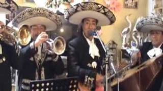 MARIACHI NUEVO JALISCO  CIELITO LINDO  CANTA EL CHARRITO DE ORO  TELF 5681512 [upl. by Zonda731]