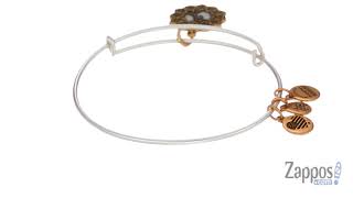 Alex and Ani TwoTone Zodiac Bangle SKU 9037510 [upl. by Cleaves]